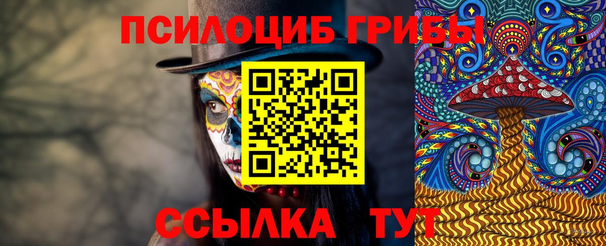 Псилоцибиновые грибы ЛСД Лесосибирск
