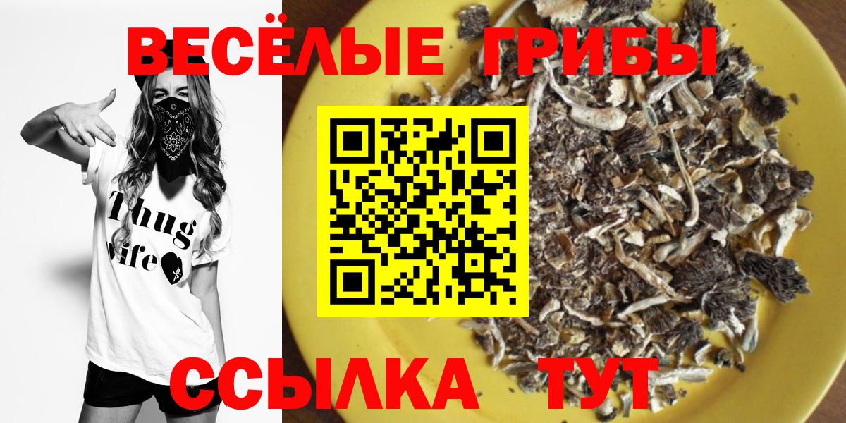 Лесосибирск  Галлюциногенные грибы ЛСД  Вход с VPN 
